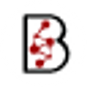 BKR Capital logo
