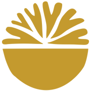 Noon logo